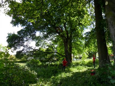 View through the trees in Fairmilehead Park