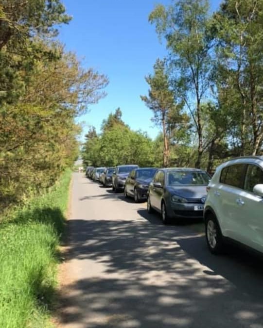 cars in line at the road