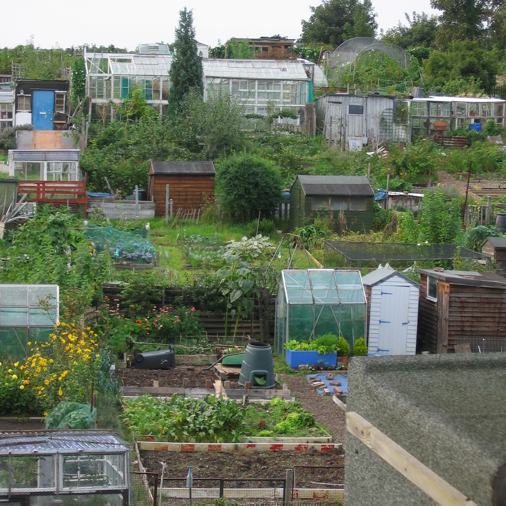 details of rules for allotment holders