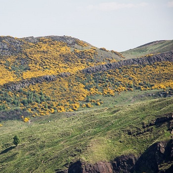 image of Arthurs Seat, Holyrood Park