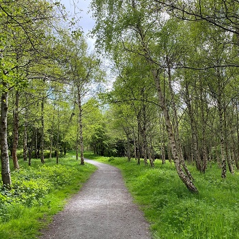Image of Craigmillar community woodlands 