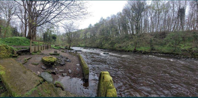 Dowies Mill Weir existing site