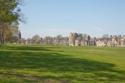 View across the links