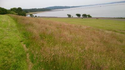 View from Cramond Foreshore