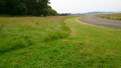 View across Gypsy Brae