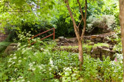 Shady area in Geddes Gardens