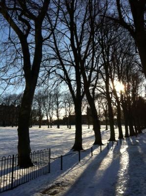 Harrison Park in the snow