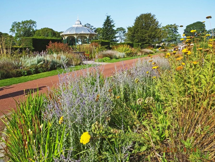Perennial planting at a garden, and a gazebo in a background