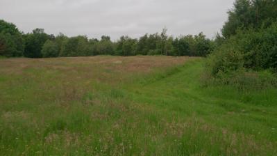 View across Curriemuirend park