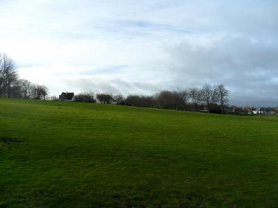 View across Dovecot Park