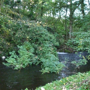 image of the Water of leith