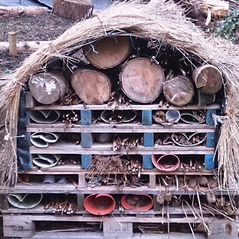 image of a Bug hotel